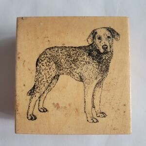 Vintage 2000 Rubber Stamp Chesapeake Bay Retriever Dog Realistic Mounted
